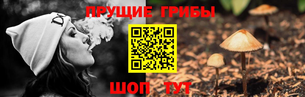 Галлюциногенные грибы Magic Shrooms  Вход с VPN  Холмск 